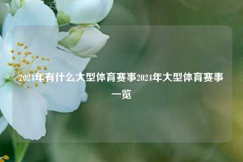 2024年有什么大型体育赛事2024年大型体育赛事一览