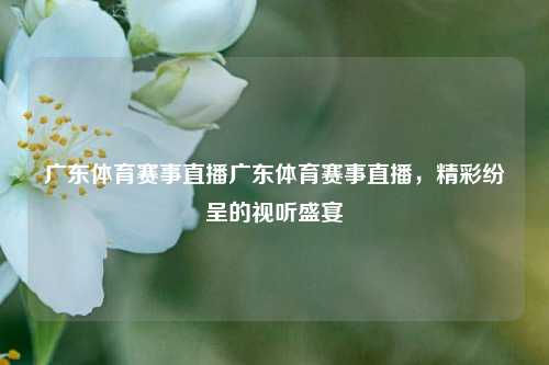 广东体育赛事直播广东体育赛事直播，精彩纷呈的视听盛宴
