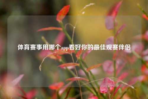 体育赛事用哪个app看好你的最佳观赛伴侣