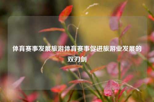 体育赛事发展旅游体育赛事促进旅游业发展的双刃剑
