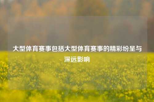 大型体育赛事包括大型体育赛事的精彩纷呈与深远影响