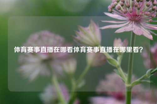 体育赛事直播在哪看体育赛事直播在哪里看？