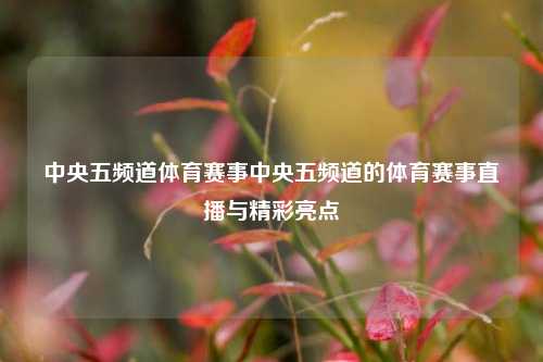 中央五频道体育赛事中央五频道的体育赛事直播与精彩亮点