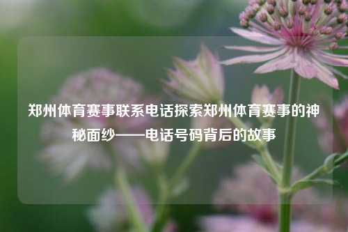 郑州体育赛事联系电话探索郑州体育赛事的神秘面纱——电话号码背后的故事
