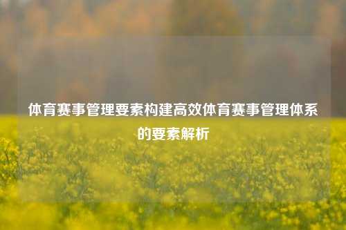 体育赛事管理要素构建高效体育赛事管理体系的要素解析