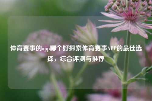 体育赛事的app哪个好探索体育赛事APP的最佳选择，综合评测与推荐