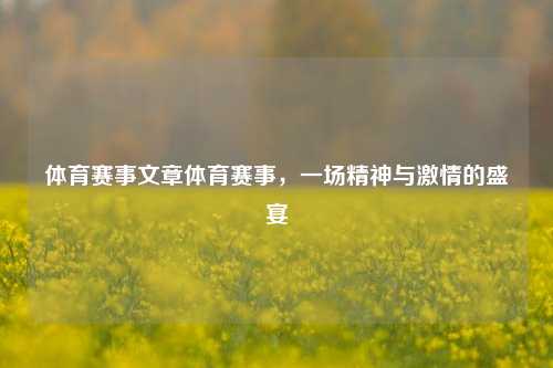 体育赛事文章体育赛事，一场精神与激情的盛宴