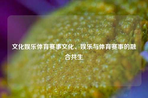 文化娱乐体育赛事文化、娱乐与体育赛事的融合共生
