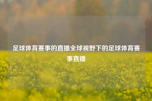 足球体育赛事的直播全球视野下的足球体育赛事直播