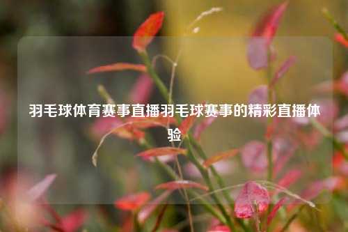 羽毛球体育赛事直播羽毛球赛事的精彩直播体验