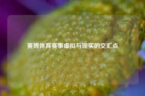 赛博体育赛事虚拟与现实的交汇点