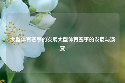 大型体育赛事的发展大型体育赛事的发展与演变