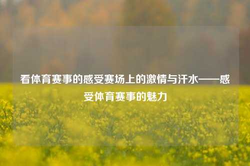 看体育赛事的感受赛场上的激情与汗水——感受体育赛事的魅力