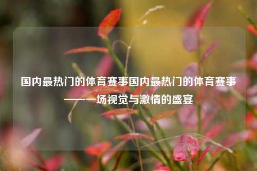 国内最热门的体育赛事国内最热门的体育赛事——一场视觉与激情的盛宴