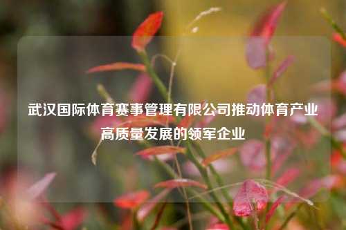 武汉国际体育赛事管理有限公司推动体育产业高质量发展的领军企业