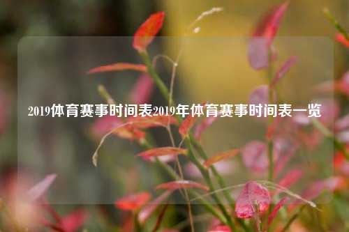 2019体育赛事时间表2019年体育赛事时间表一览