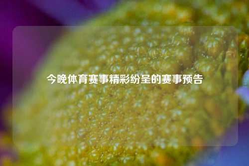 今晚体育赛事精彩纷呈的赛事预告