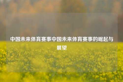 中国未来体育赛事中国未来体育赛事的崛起与展望