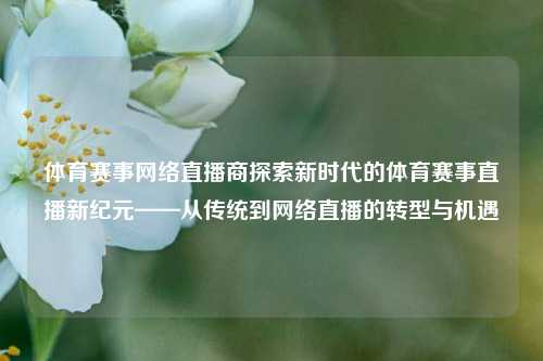 体育赛事网络直播商探索新时代的体育赛事直播新纪元——从传统到网络直播的转型与机遇