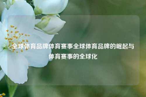 全球体育品牌体育赛事全球体育品牌的崛起与体育赛事的全球化