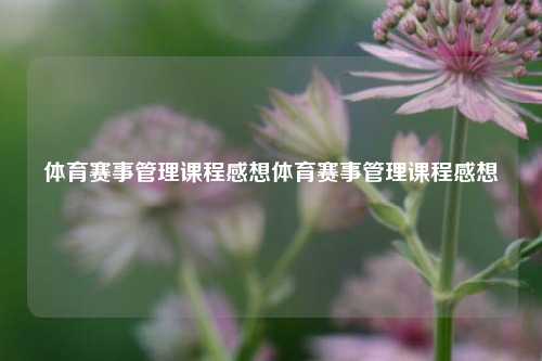 体育赛事管理课程感想体育赛事管理课程感想