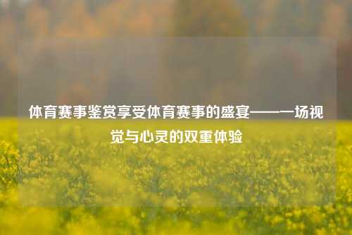 体育赛事鉴赏享受体育赛事的盛宴——一场视觉与心灵的双重体验