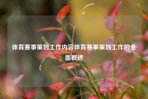 体育赛事策划工作内容体育赛事策划工作的全面概述