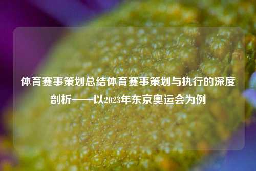 体育赛事策划总结体育赛事策划与执行的深度剖析——以2023年东京奥运会为例