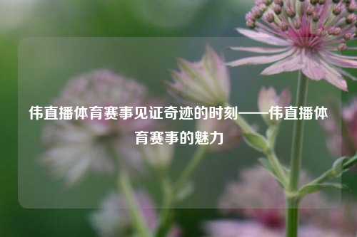 伟直播体育赛事见证奇迹的时刻——伟直播体育赛事的魅力