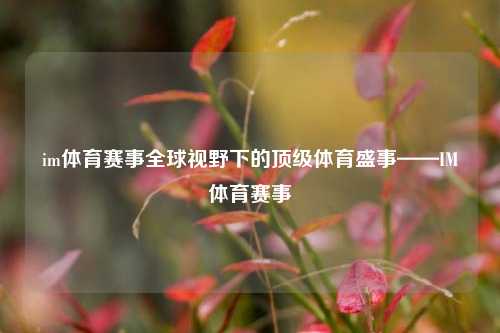 im体育赛事全球视野下的顶级体育盛事——IM体育赛事