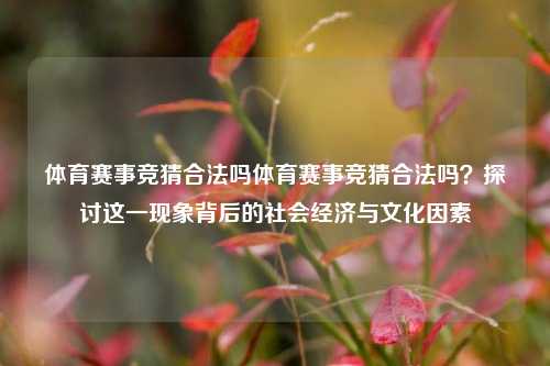 体育赛事竞猜合法吗体育赛事竞猜合法吗？探讨这一现象背后的社会经济与文化因素
