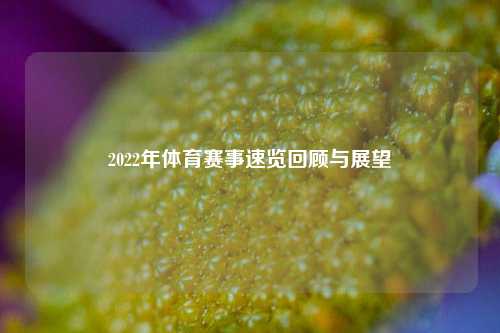2022年体育赛事速览回顾与展望