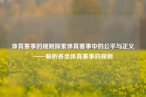 体育赛事的规则探索体育赛事中的公平与正义——解析各类体育赛事的规则