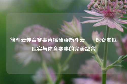 筋斗云体育赛事直播骑乘筋斗云——探索虚拟现实与体育赛事的完美融合