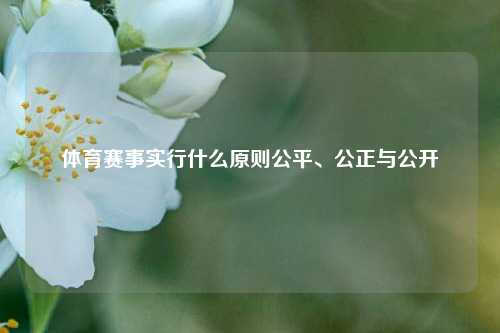 体育赛事实行什么原则公平、公正与公开