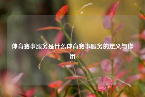 体育赛事服务是什么体育赛事服务的定义与作用