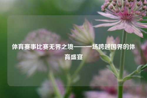 体育赛事比赛无界之境——一场跨越国界的体育盛宴