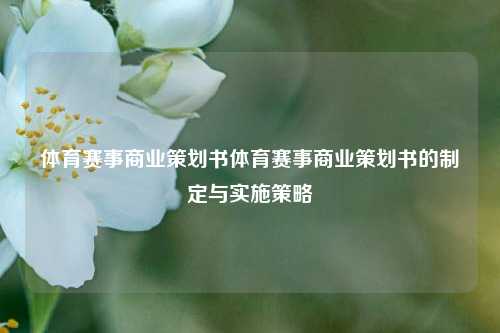 体育赛事商业策划书体育赛事商业策划书的制定与实施策略