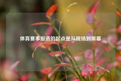 体育赛事报道的起点是从现场到屏幕