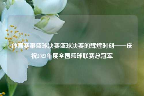 体育赛事篮球决赛篮球决赛的辉煌时刻——庆祝2023年度全国篮球联赛总冠军