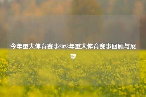 今年重大体育赛事2023年重大体育赛事回顾与展望