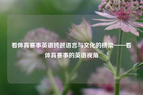看体育赛事英语跨越语言与文化的桥梁——看体育赛事的英语视角