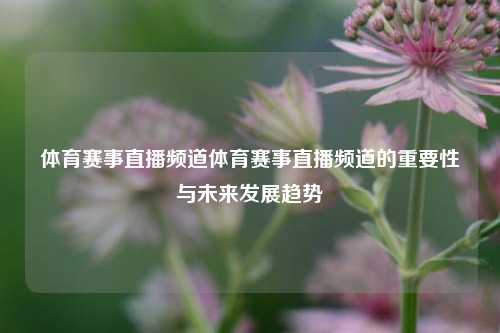 体育赛事直播频道体育赛事直播频道的重要性与未来发展趋势