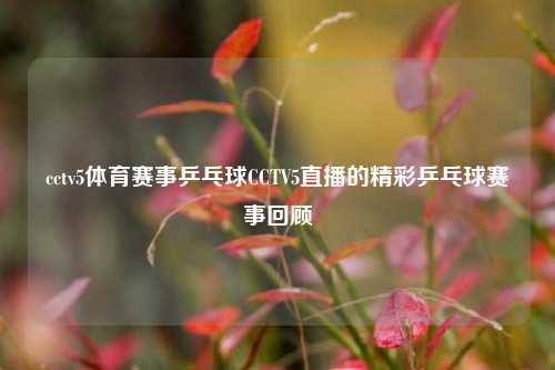 cctv5体育赛事乒乓球CCTV5直播的精彩乒乓球赛事回顾