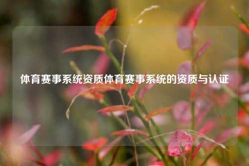 体育赛事系统资质体育赛事系统的资质与认证