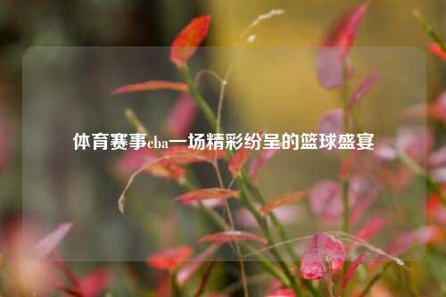 体育赛事cba一场精彩纷呈的篮球盛宴