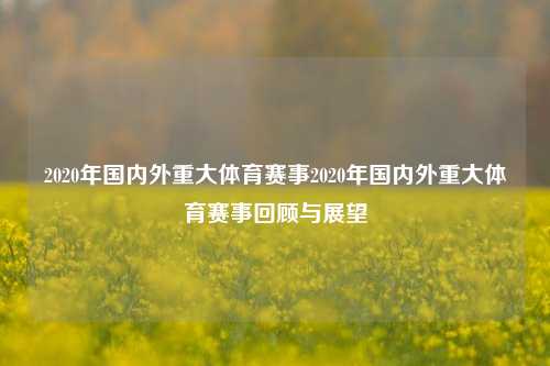 2020年国内外重大体育赛事2020年国内外重大体育赛事回顾与展望