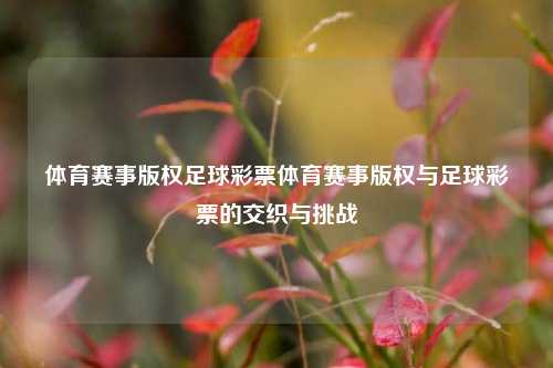 体育赛事版权足球彩票体育赛事版权与足球彩票的交织与挑战