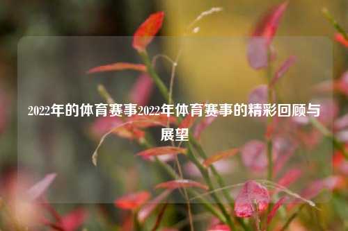2022年的体育赛事2022年体育赛事的精彩回顾与展望