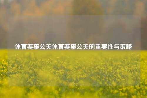 体育赛事公关体育赛事公关的重要性与策略